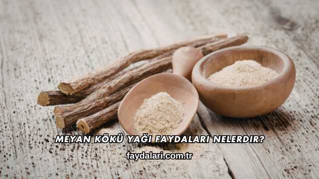 Meyan Kökü Yağı Faydaları Nelerdir?