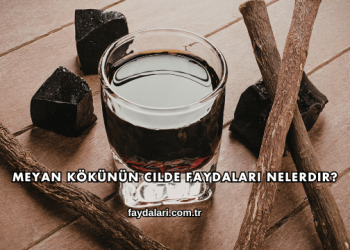 Meyan Kökünün Cilde Faydaları Nelerdir?