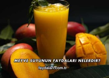 Meyve Suyunun Faydaları Nelerdir?