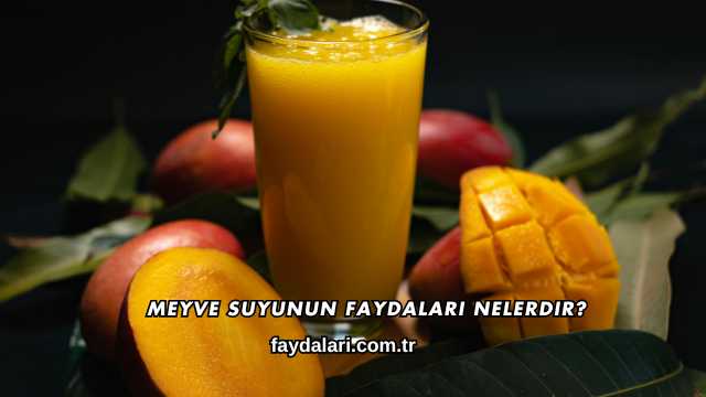 Meyve Suyunun Faydaları Nelerdir?