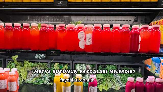 Meyve Suyunun Faydaları Nelerdir?