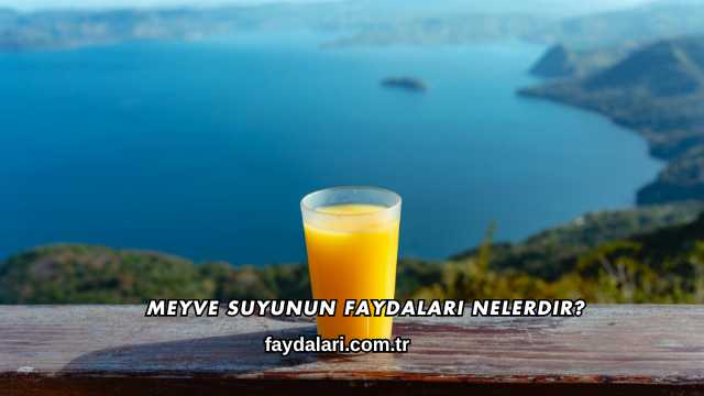 Meyve Suyunun Faydaları Nelerdir?