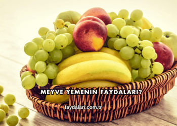 Meyve Yemenin Faydaları?