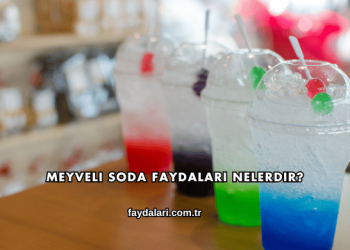 Meyveli Soda Faydaları Nelerdir?