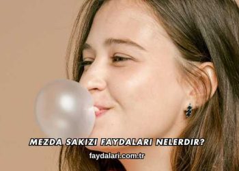 Mezda Sakızı Faydaları Nelerdir?