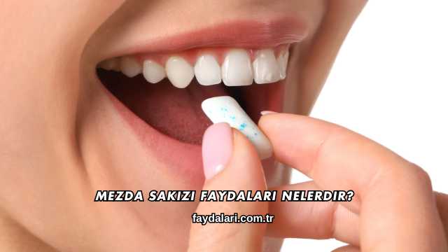 Mezda Sakızı Faydaları Nelerdir?