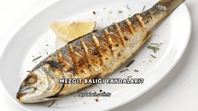 Mezgit Balığı Faydaları?