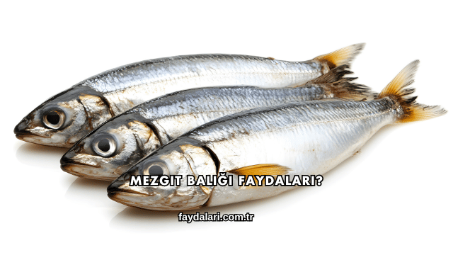 Mezgit Balığı Faydaları?
