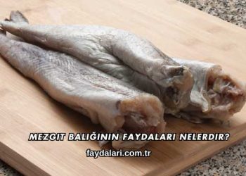 Mezgit Balığının Faydaları Nelerdir?