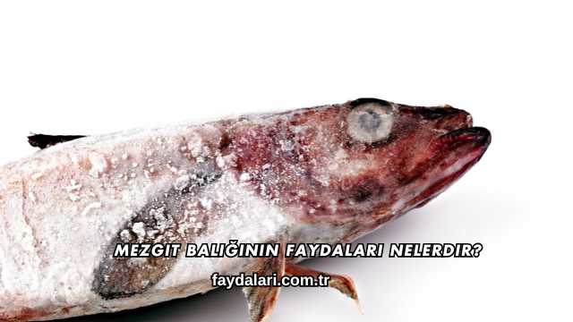Mezgit Balığının Faydaları Nelerdir?