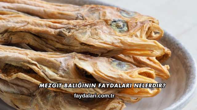 Mezgit Balığının Faydaları Nelerdir?