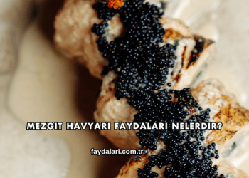 Mezgit Havyarı Faydaları Nelerdir?