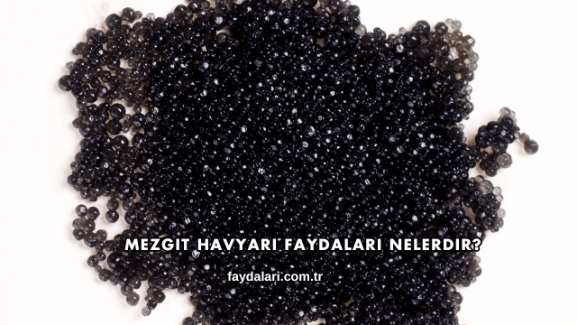 Mezgit Havyarı Faydaları Nelerdir?