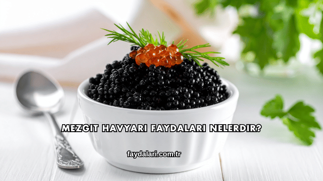 Mezgit Havyarı Faydaları Nelerdir?