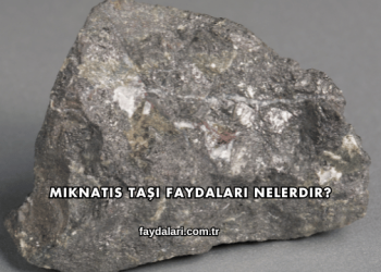 Mıknatıs Taşı Faydaları Nelerdir?