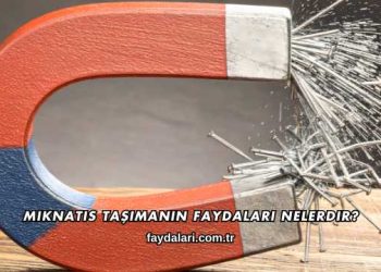 Mıknatıs Taşımanın Faydaları Nelerdir?