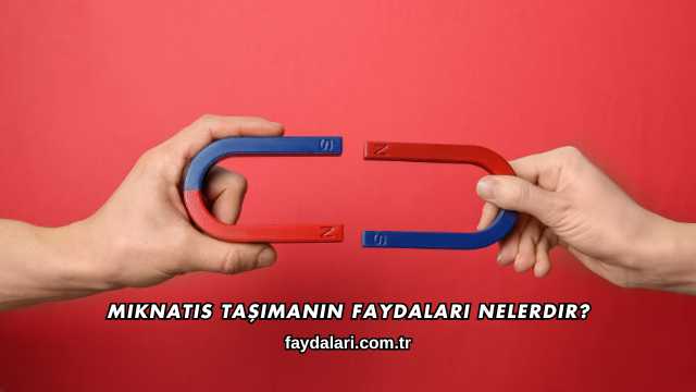 Mıknatıs Taşımanın Faydaları Nelerdir?