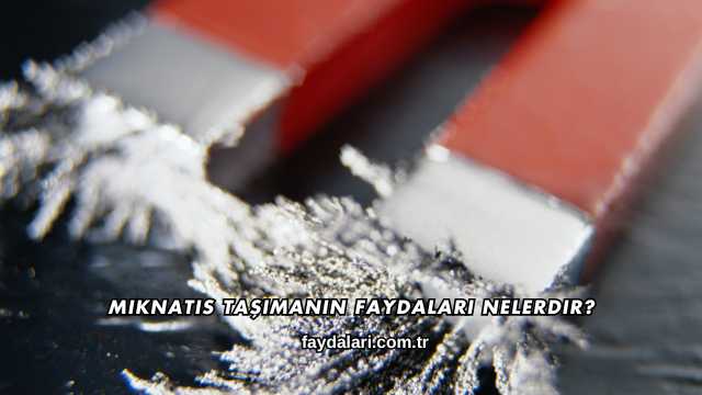 Mıknatıs Taşımanın Faydaları Nelerdir?
