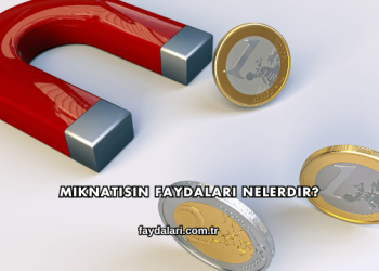 Mıknatısın Faydaları Nelerdir?