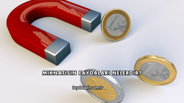 Mıknatısın Faydaları Nelerdir?