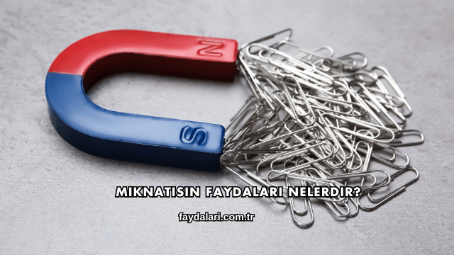Mıknatısın Faydaları Nelerdir?