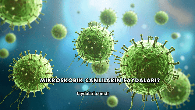 Mikroskobik Canlıların Faydaları?