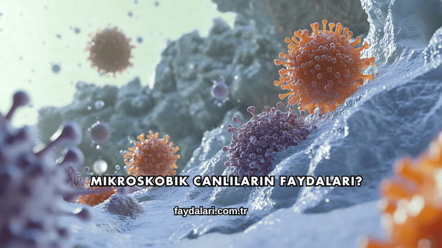Mikroskobik Canlıların Faydaları?