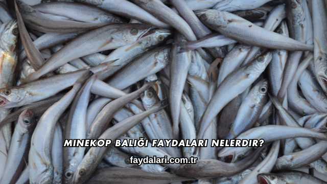 Minekop Balığı Faydaları Nelerdir?