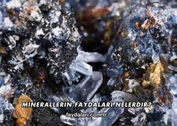 Minerallerin Faydaları Nelerdir?