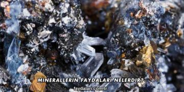 Minerallerin Faydaları Nelerdir?