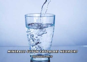 Mineralli Suyun Faydaları Nelerdir?