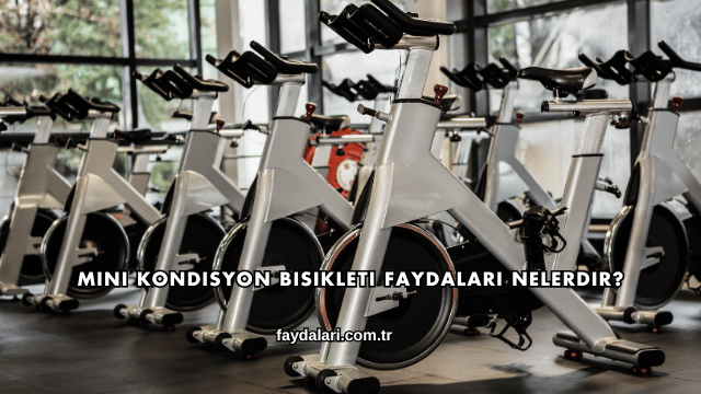 Mini Kondisyon Bisikleti Faydaları Nelerdir?