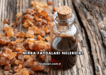Mırra Faydaları Nelerdir?