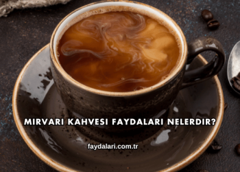 Mirvari Kahvesi Faydaları Nelerdir?