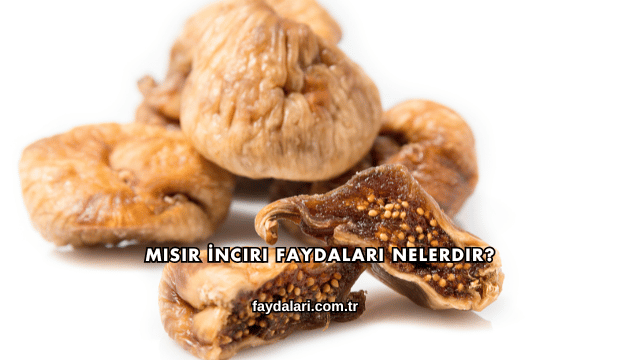 Mısır İnciri Faydaları Nelerdir?