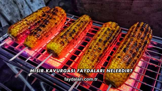 Mısır Kavurgası Faydaları Nelerdir?