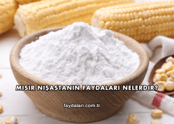 Mısır Nişastanın Faydaları Nelerdir?