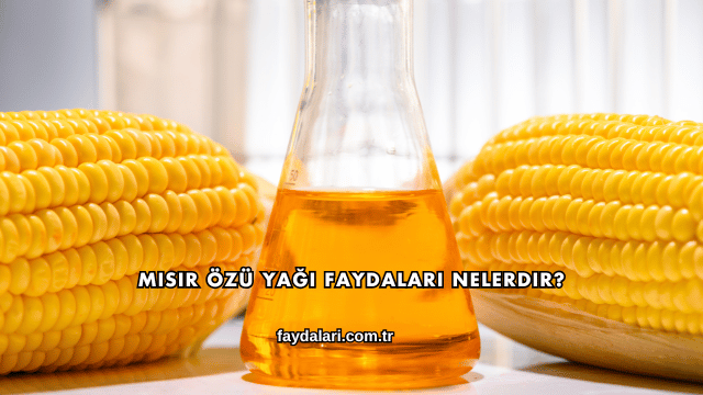 Mısır Özü Yağı Faydaları Nelerdir?