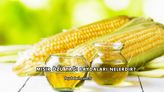 Mısır Özü Yağı Faydaları Nelerdir?