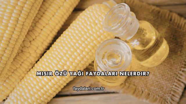 Mısır Özü Yağı Faydaları Nelerdir?