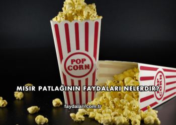 Mısır Patlağının Faydaları Nelerdir?