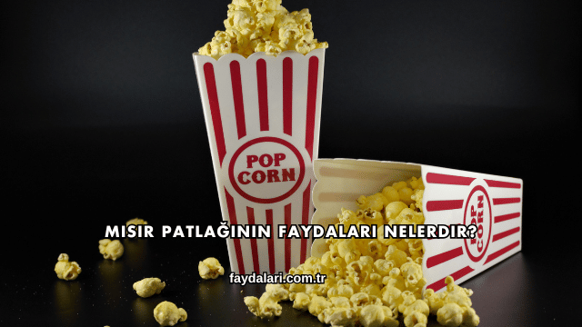 Mısır Patlağının Faydaları Nelerdir?