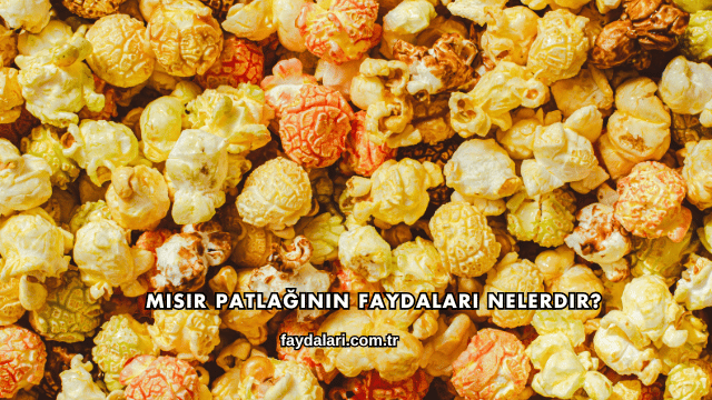 Mısır Patlağının Faydaları Nelerdir?