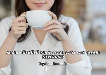 Mısır Püskülü Kiraz Sapı Çayı Faydaları Nelerdir?