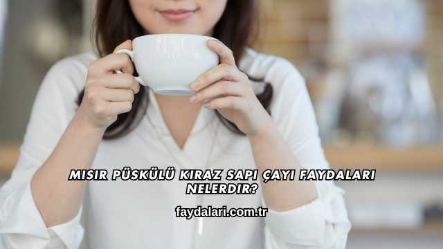Mısır Püskülü Kiraz Sapı Çayı Faydaları Nelerdir?