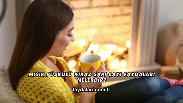 Mısır Püskülü Kiraz Sapı Çayı Faydaları Nelerdir?