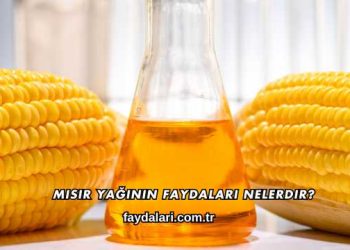 Mısır Yağının Faydaları Nelerdir?