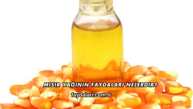 Mısır Yağının Faydaları Nelerdir?