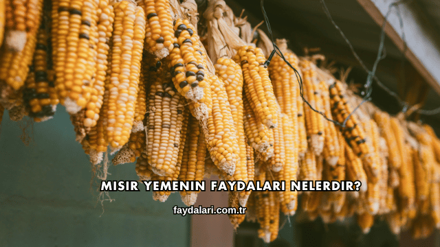 Mısır Yemenin Faydaları Nelerdir?