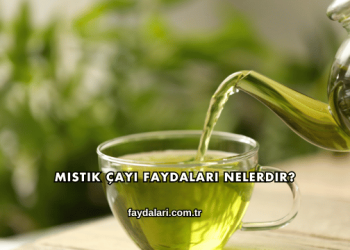 Mistik Çayı Faydaları Nelerdir?